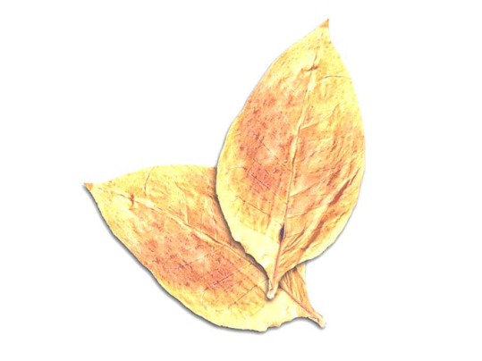 打叶复烤(图1)